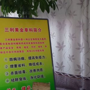 三利黃金草料