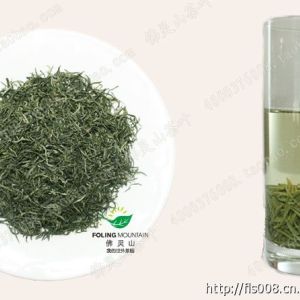 信陽毛尖綠茶