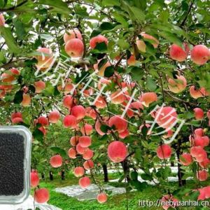 河北有機肥著名企業(yè)-河北源海生物科技有限公司
