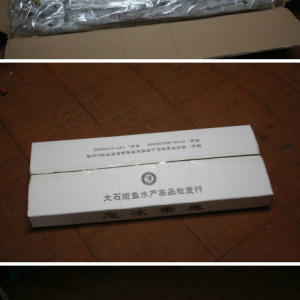 長年供應深海帶魚