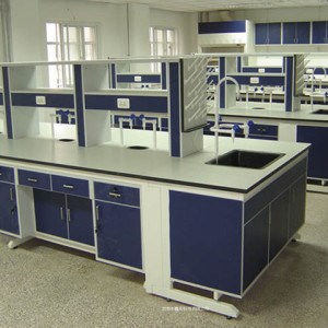 實驗室實驗臺 全木實驗臺廠家設計 免費安裝