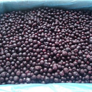 野生藍莓，野生紅豆，藍靛果，食用菌。青刀豆，馬鈴薯條