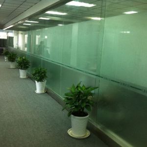 無錫新區(qū)品綠園藝經(jīng)營部辦公室租盆景