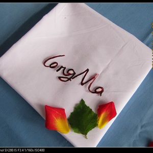 服轉發輔料 兜兜布口袋布 平紋T/C口袋布 滌棉口袋布 漂白染色口袋布