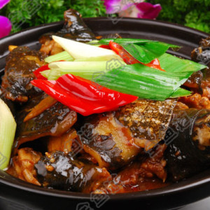 全魚道創業加盟項目