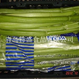 保鮮西芹，芹菜