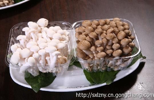 灵沼农业 蟹味菇 真姬菇 玉龙菇 白玉菇 西安蔬菜配送