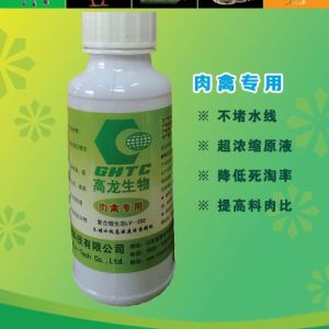 肉鴨養殖降低死亡