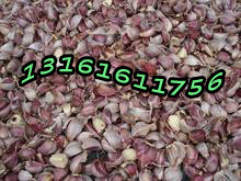 北京大蒜種子哪個品牌高產|最正宗的大蒜種子價格