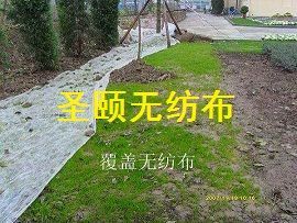 香河蔬菜防蟲無紡布內蒙古20-25克草坪綠化無紡布農業(yè)種植無紡布廠