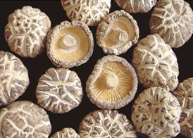 供應香菇，木耳，蔬果罐頭