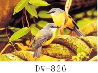 【龍揚科技】定做高清3D立體畫|個人3D像定做