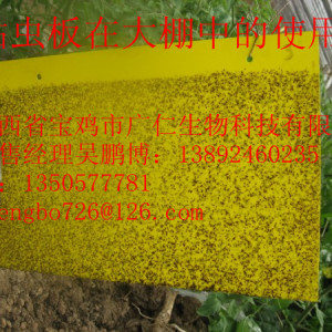 粘蟲板 黃板 誘蟲板