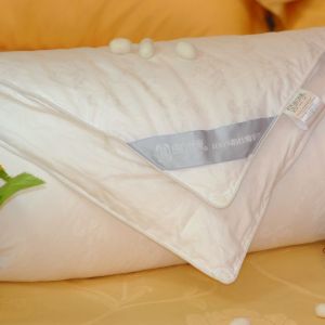廠家直供“南方絲巢”蠶絲被（100%桑蠶絲）