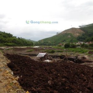 供應高要天然泥炭土，天然花肥