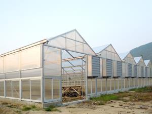 頂尖PC板溫室大棚 蔬菜大棚 花卉種植