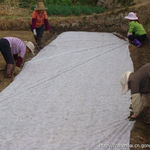 供應農業用無紡布 福州生產無紡布廠家