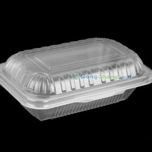 供應(yīng)東莞環(huán)保餐盒 環(huán)保飯盒 一次性餐盒 一次性飯盒 震太包裝