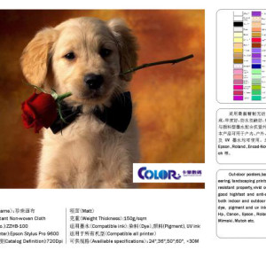 防水珍珠畫布、防水藝術布、防水白畫布、防水化纖油畫布