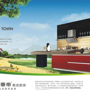 供應華帝整體櫥柜 華帝集成廚房 櫥柜五金 華帝櫥柜