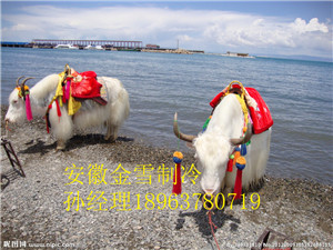 滁州豬肉冷庫具備良好的投資前景廣闊