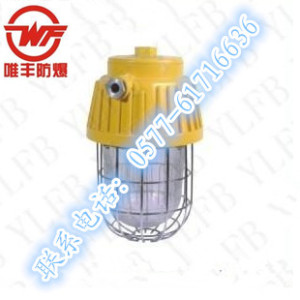 BPC8730防爆平臺(tái)燈（100w）