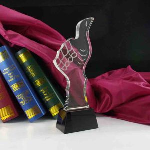 新鄉優秀員工表彰大會水晶獎杯/獎牌批發廠家，管理之星經典獎杯價格