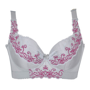 怎么樣加盟內衣店