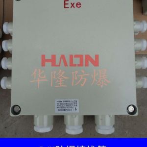 不銹鋼防爆接線箱 含不含接線端子