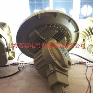 SBD1103批發價_免維護節能防爆燈型號大全