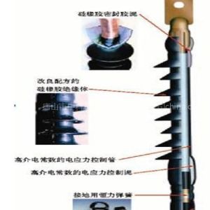 瑞豐國際娛樂 電力元氣件