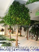 榕樹假榕樹 榕樹盆景 仿真植物榕樹 高度逼真的園林酒店自然植物裝飾