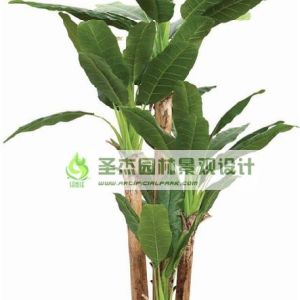 仿真大芭蕉