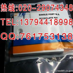 AMP單口信息面板|雙口插座86標準