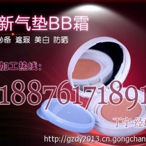 2014最新氣墊BB霜OEM加工|彈力BB霜貼牌代工合作