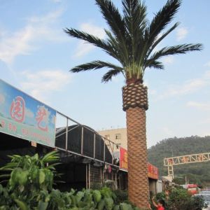 深圳仿真加納利海藻樹，櫻花樹，竹子廠家價格
