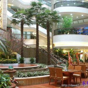 湖北棕櫚樹 圣杰今年主推爆款各款室內(nèi)外各樣式棕櫚樹系列