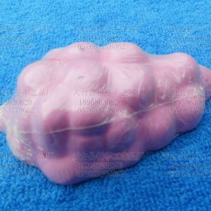 小動物礦物磨牙/爪石,承接各類顏色和水果味寵物用品的訂做和加