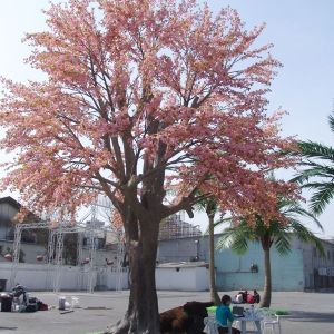 鄭州仿真櫻花樹，仿真榕樹，仿真椰樹廠家