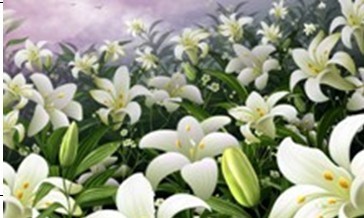 diy鉆石畫 鉆石畫批發 義烏斯華洛鉆石畫廠家