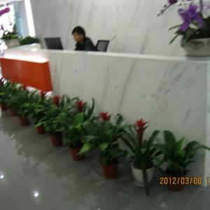 成都辦公室植物租賃，花卉租賃，花卉租擺，綠植租賃，室內植物租