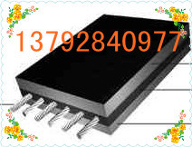 斗提機專用輸送帶