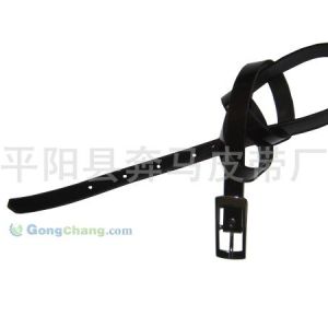 供應供應各種男女式皮帶腰帶，我廠具有多年與外貿公司合作經驗