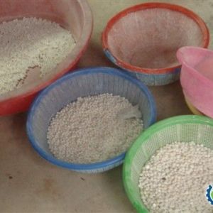 廠家直供供應(yīng)珍珠核|珍珠核廠家|珍珠核價格|珍珠核加工\