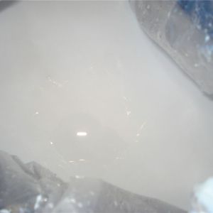 最新水性熱熔膠