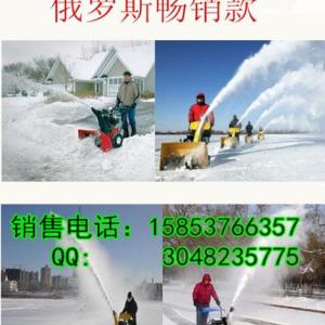 低溫作業(yè)手推式掃雪機 小型揚雪機圖