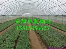 熱鍍鋅鋼管大棚