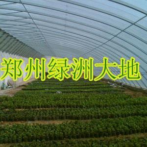 鄭州幾字鋼大棚，機制鋼溫室大棚骨架，鋼架大棚，綠洲科技