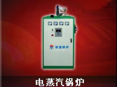 電蒸汽鍋爐