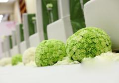 愛在凱諾詩----主題婚禮定制 48999元